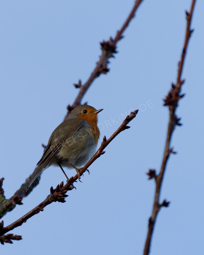 DSC01220_DxO.jpg