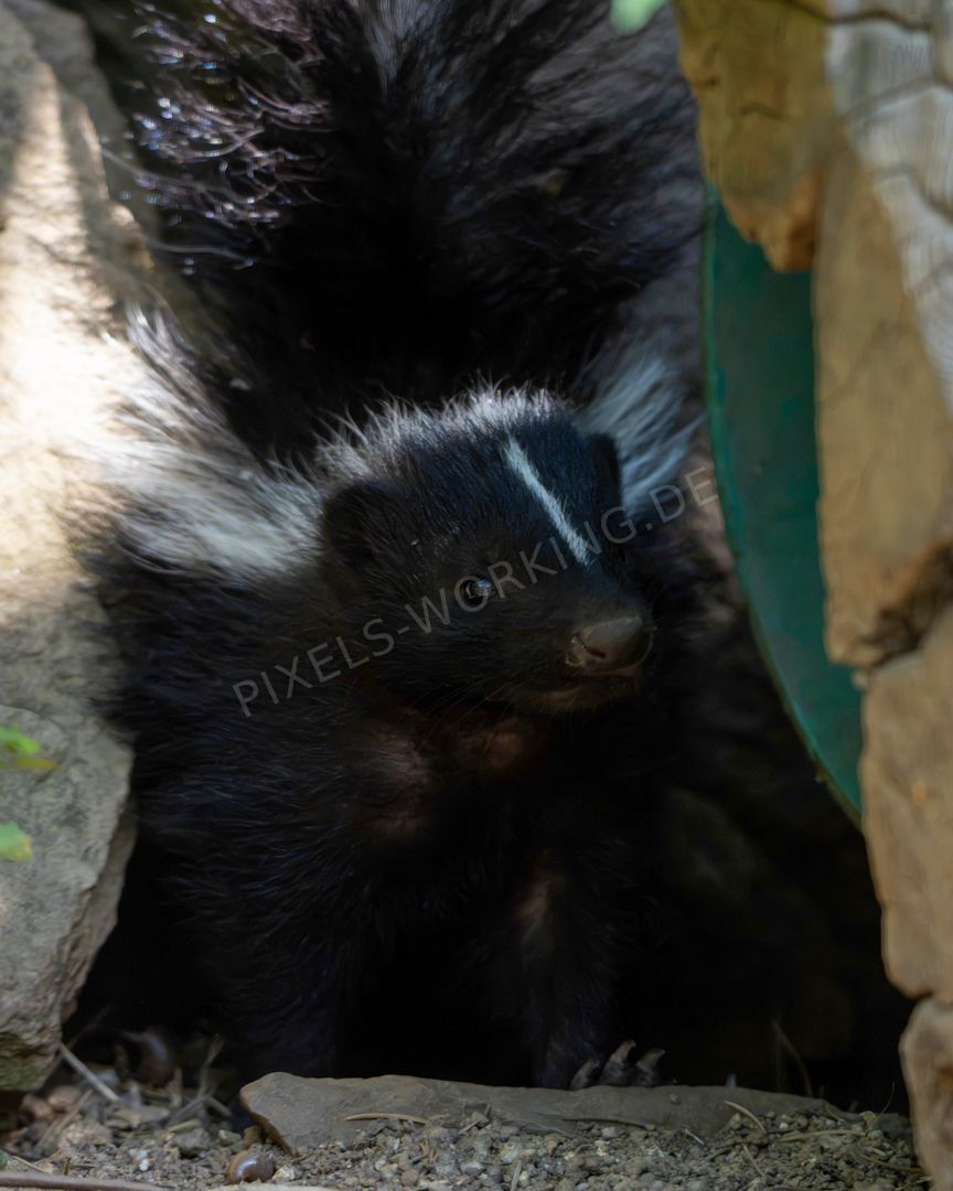 MI_DSC08536.jpg