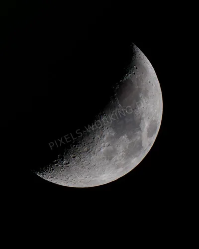 DSC00934