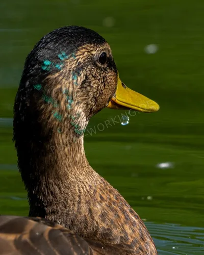 MI_DSC08495